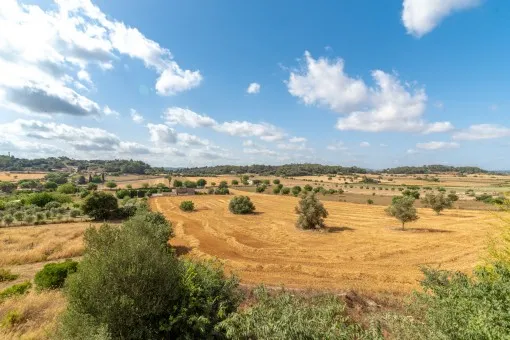 Sineu: Townhouse with holiday rental license and panoramic views in Sineu — photo 4