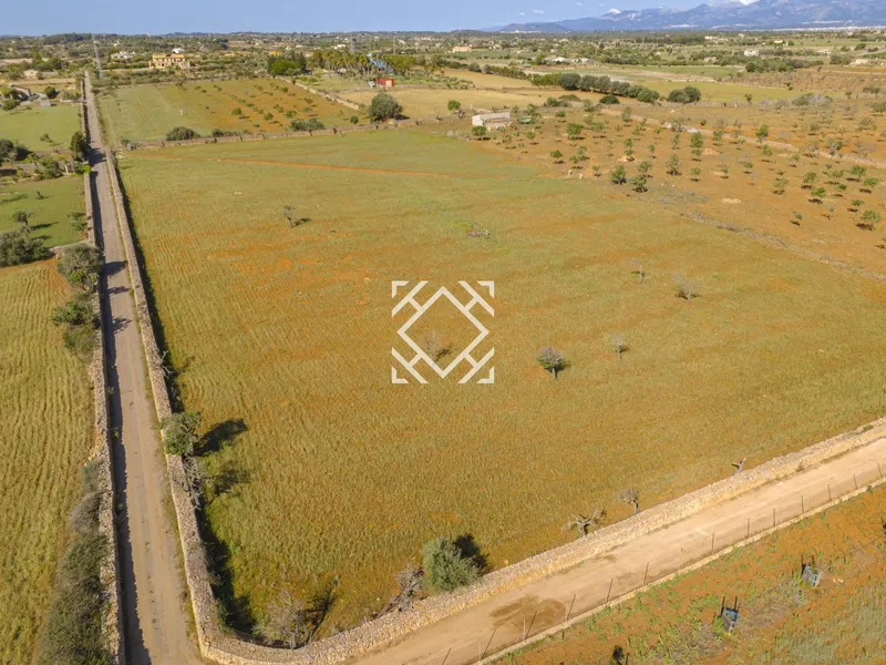 Finca for sale in Santa Margalida, Mallorca — photo 12