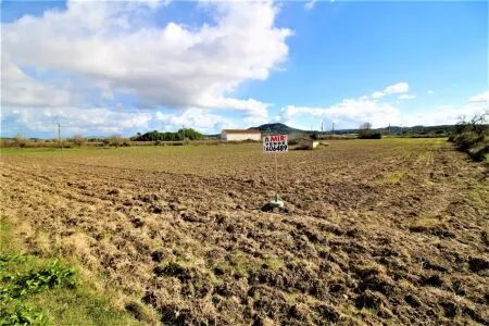 Rural Land - Sineu, Plot Surface 28600 m² — photo 7
