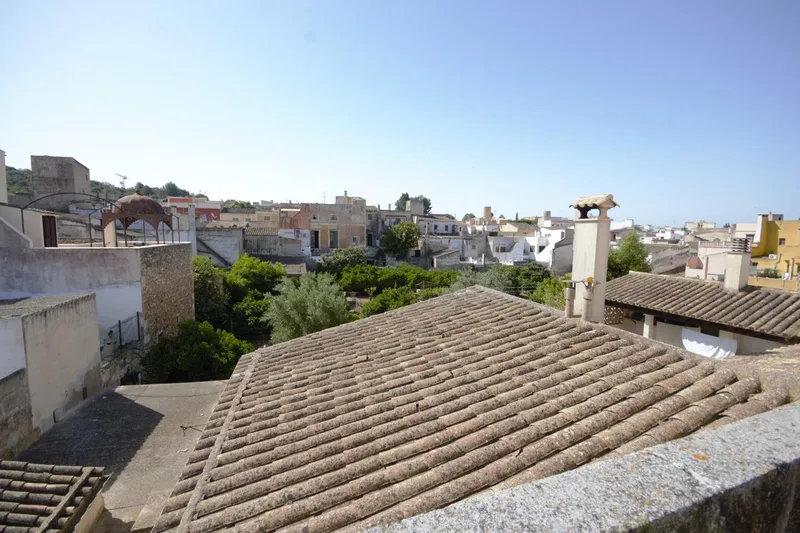Grand Manor House with Land — photo 11