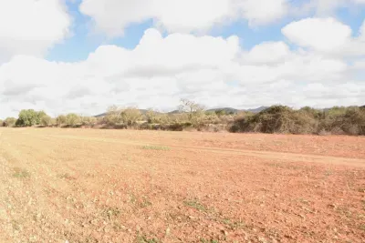 Finca in Santany with project and license — photo 1