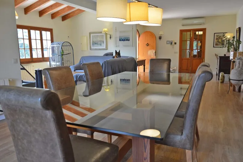 Beautiful Country House with Mountain Views and Private Pool on a 7000 sqm Plot — photo 8