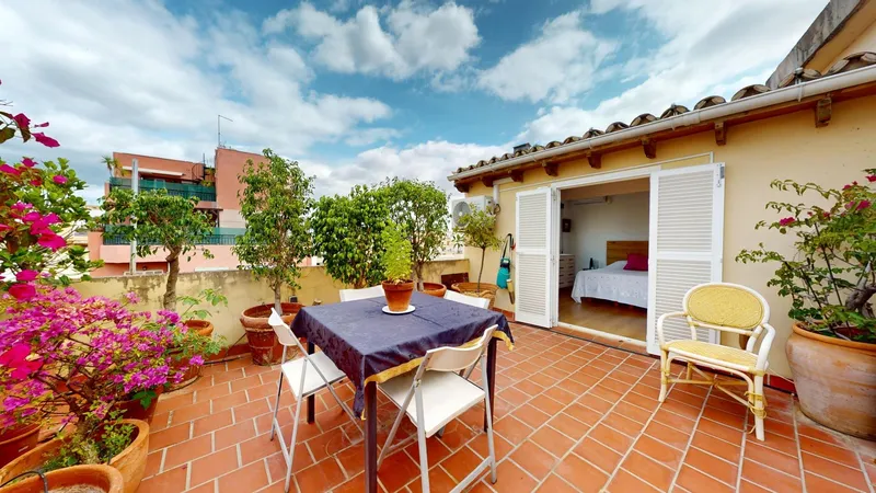 Bright penthouse with large terrace next to Paseo Mallorca — photo 8