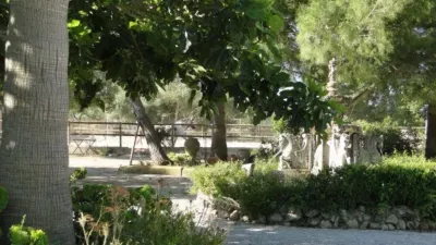 Rustic finca in Montuiri — photo 5