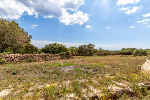 Vallgornera, rustic finca with great potential in Vallgornera — photo 8