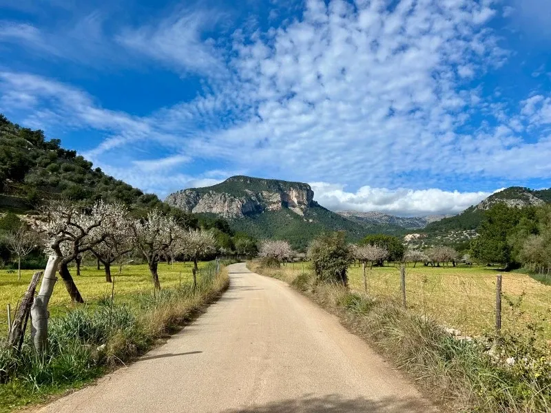 A refuge for nature lovers, hidden in the mountains between Alaró and Orient with a valid building permit — photo 1