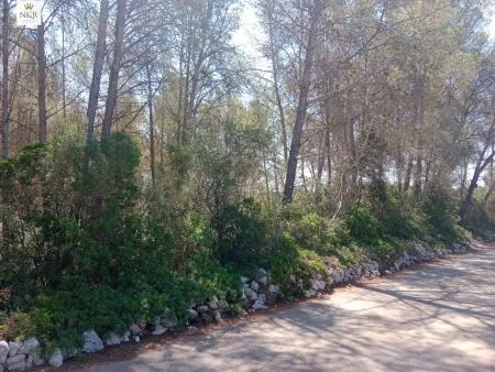 Rural Land - Costitx (S'arisal), Plot Surface 8000m², Distance to the sea 25 Km. — photo 4