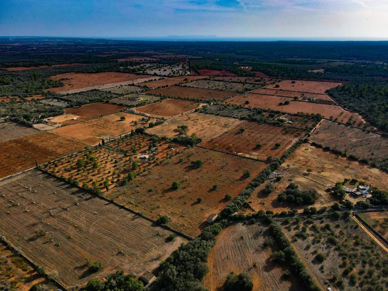 Buildable plot in Llucmajor, Mallorca. Païsa area. — photo 3