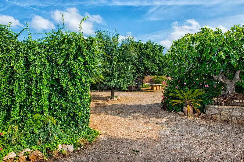Fantastic rustic finca in Sant Llorenç — photo 12