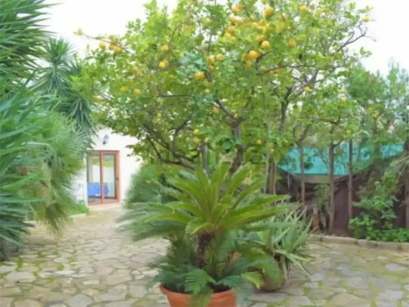 Casa en venta de particular a particular. Abstenerse inmobiliarias — photo 7