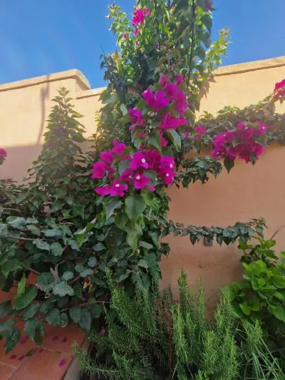 Single family house - El Puerto de Santa Maria (El Juncal - Vallealto) — photo 4