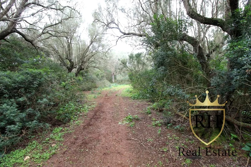 Rustic estate with possibilities to build the house of your dreams — photo 11