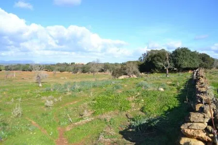 Rustic property - Manacor (Afueras), Built Surface 10m², Plot Surface 42985m² — photo 1