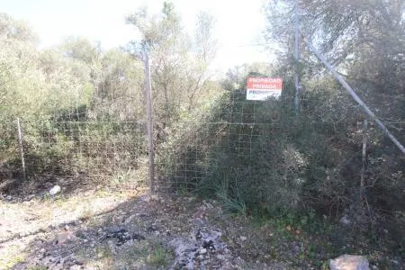 Rustic land - Llucmajor (Cala Pi-Vallgornera), plot surface 100,158 m², distance to the sea 3 km — photo 10
