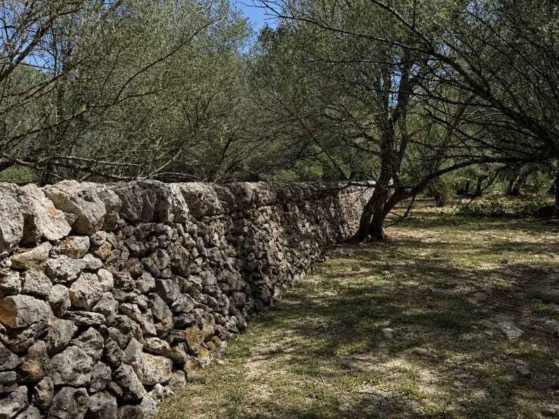 Plot with a fantastic new construction project in a magnificent private location, in Son Mesquida, Felanitx — photo 2