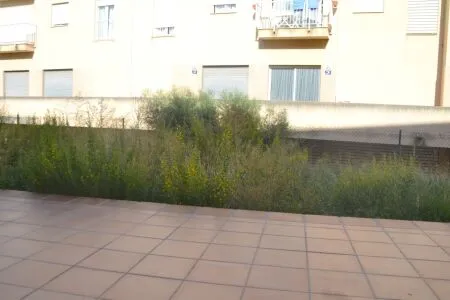 Business Premise - Inca (Cristo Rey), Built Surface 100m² — photo 1