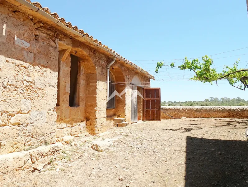 140,000 m2 Estate in Palma — photo 12