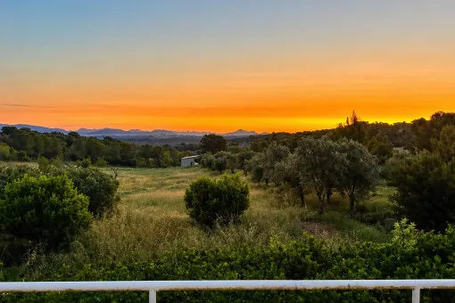 Santa Margalida, finca with lots of land and panoramic views to Alcúdia — photo 4