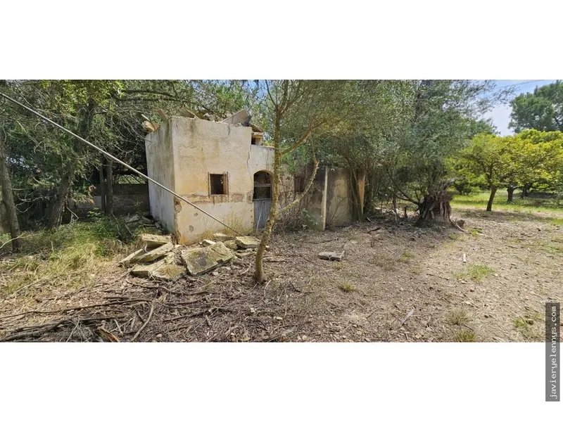 Independent house or chalet for sale in Diseminado Poligon 04 — photo 3
