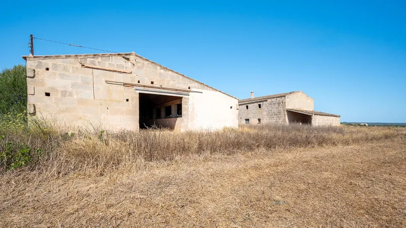 Rustic Finca for sale in Campos — photo 3