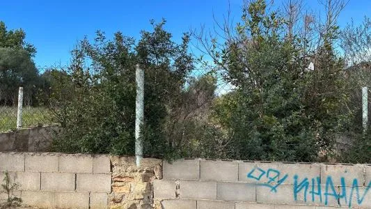 Building Site - Marratxí (Pòrtol), Plot Surface 1131m² — photo 7