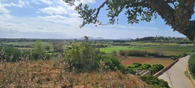 Urban Plot of Land - Santa Eugènia (Ses Alqueries), Plot Surface 2241m² — photo 1