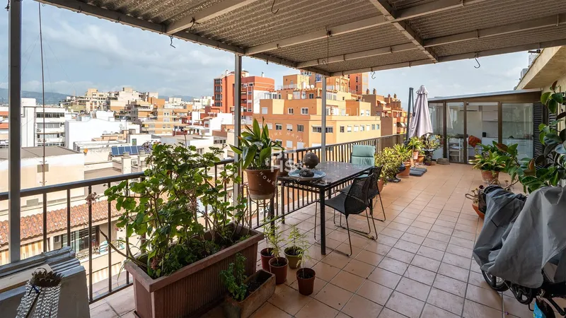 Penthouse for sale in Palma de Mallorca — photo 11