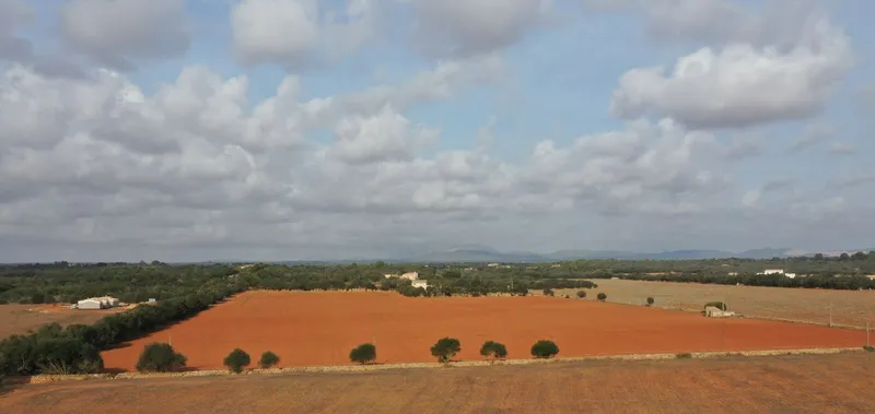 Large plot with beautiful construction project of a Finca in Campos — photo 3
