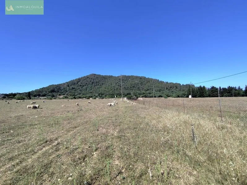 Land in sa Pobla, Province of Balearic Islands — photo 1