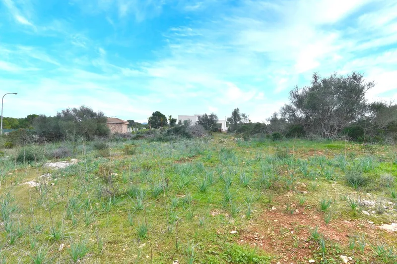 Land plot for sale in Son Gual II with building permit — photo 11