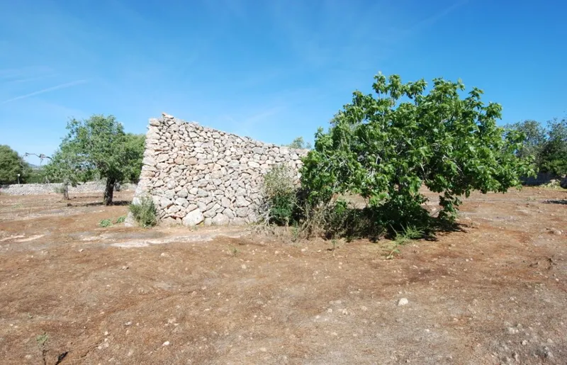 Interesting rustic plot between Santanyi and Es Llombards — photo 6