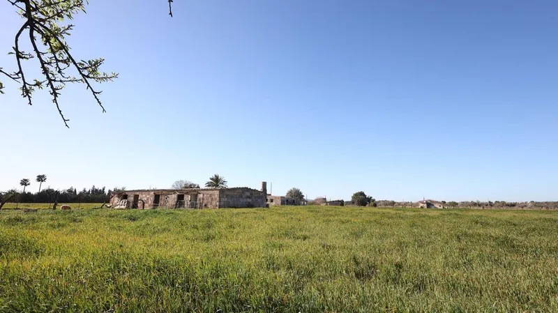Land in Binissalem, Province of Balearic Islands — photo 2