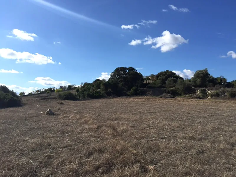Plot near Son Servera with sea views UP009 — photo 8