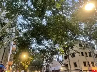 We are finishing renovating this home, request the video if you are interested in this property — photo 11