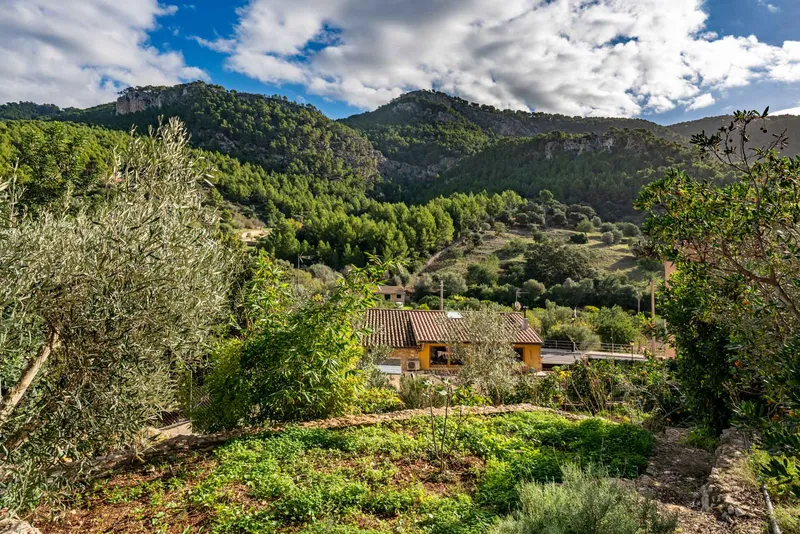 Townhouse on the edge of Andratx with wonderful mountain views — photo 3