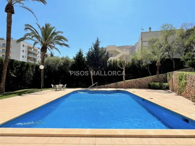 Apartment in Palma de Mallorca, Colegios Area — photo 5