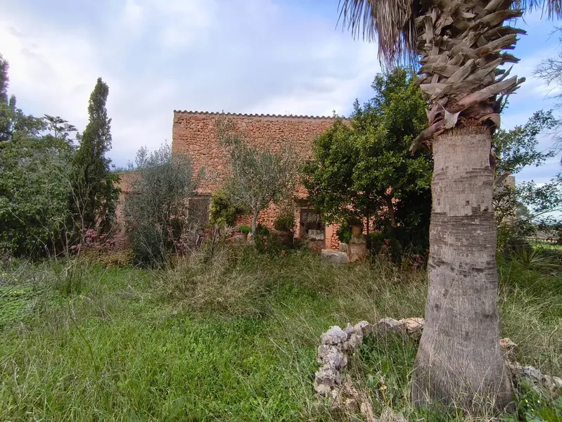 Discover this charming agricultural estate of four cuarteradas, located in a privileged setting with stunning views of the Tramuntana — photo 6