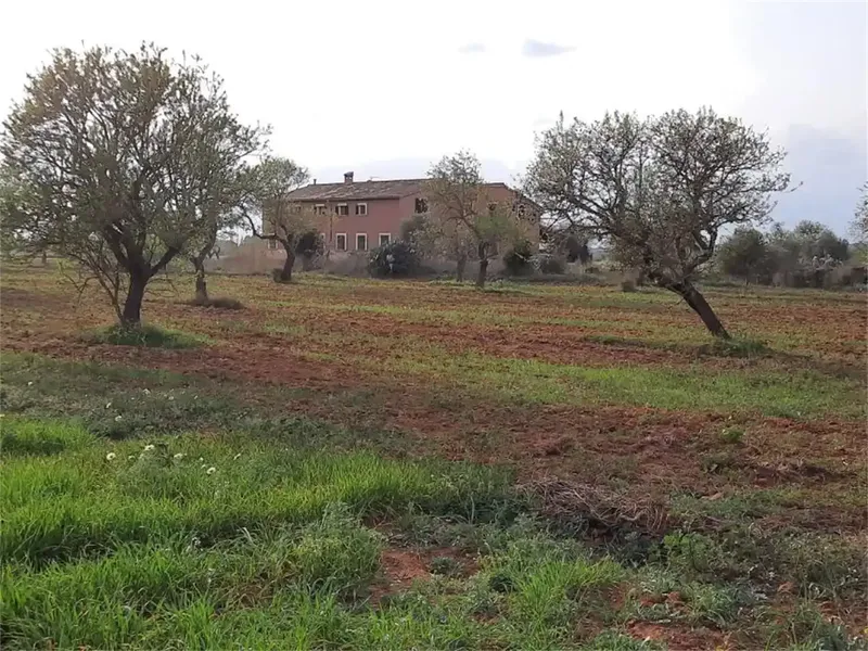 Casa de campo en Mallorca, Campos de 375 m2 construidos sobre una parcela de 15.429 m2. A tan sólo 7 km de una de las playas más bonitas de  — photo 5