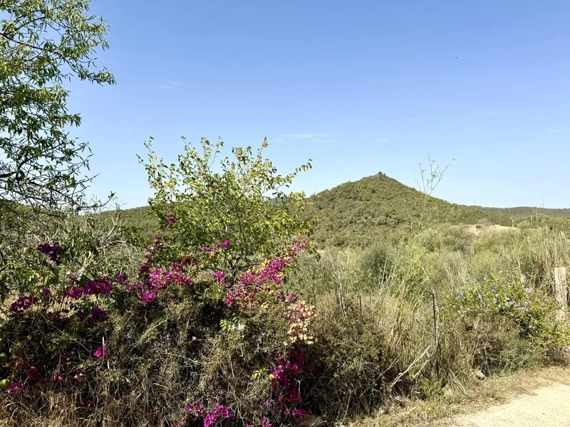 Finca/Country House for sale in Portocolom, Felanitx — photo 3