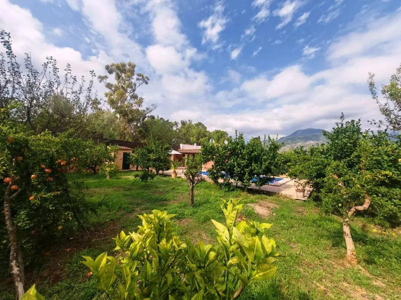 Finca with pool and ETV license — photo 7