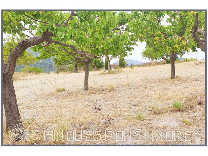 Land — photo 3