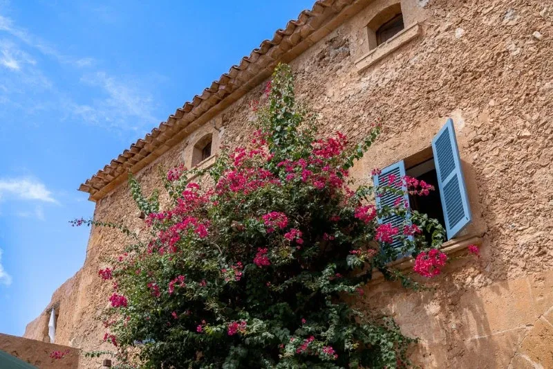 Manor house with three guest houses, pool and garden near Binissalem — photo 1