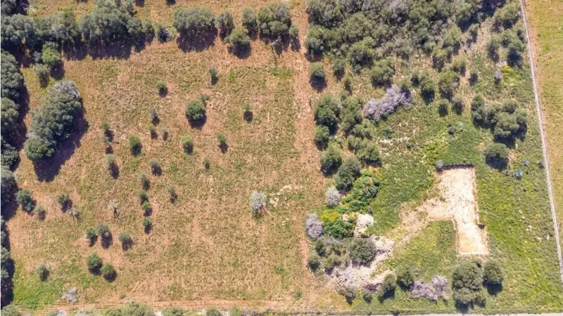 Plot+License in a spectacular location with lots of privacy and seaviews in Portocristo, on the east of Majorca. — photo 5
