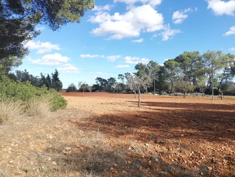 Buildable rustic plot. Fully fenced — photo 5