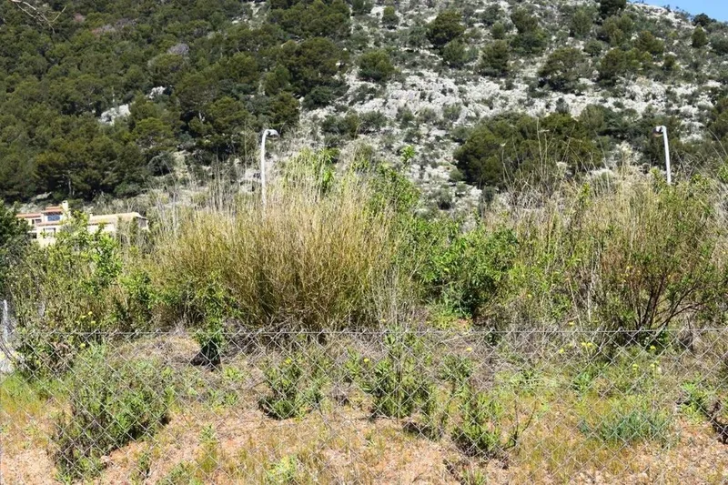 Land in Alaró, Province of Balearic Islands — photo 9