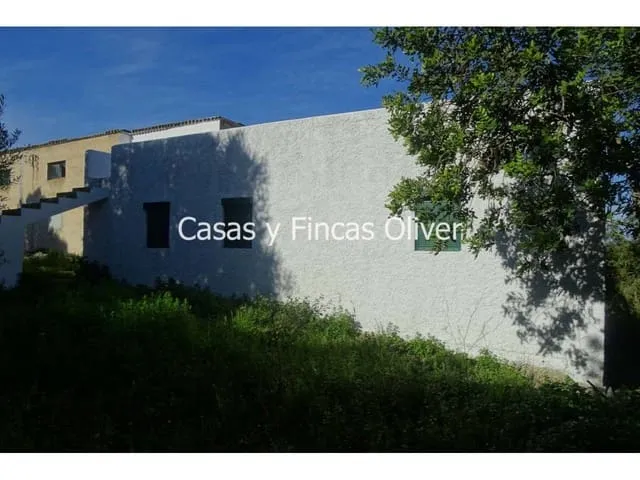 Finca/Country House for sale in Ariany, Mallorca — photo 9