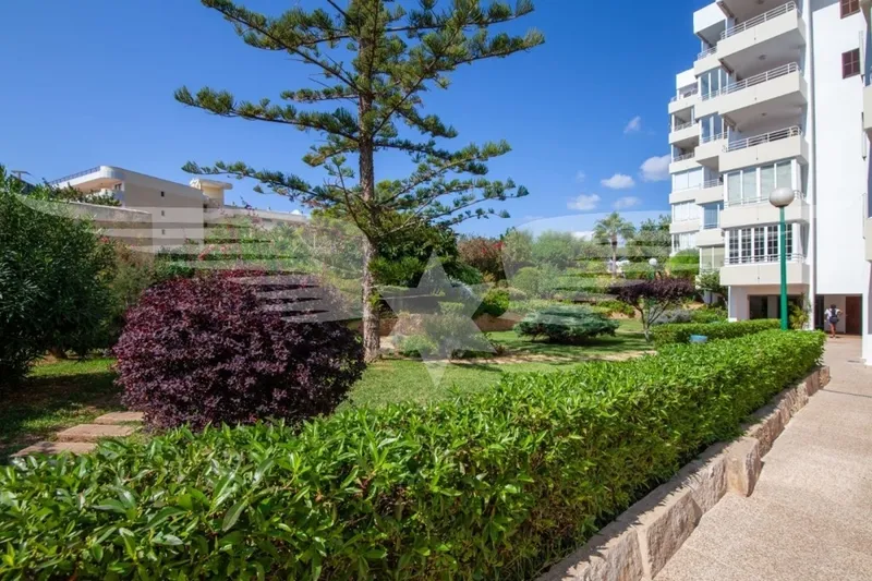 Puerto Portals I Apartment in the immediate vicinity of the harbor — photo 1