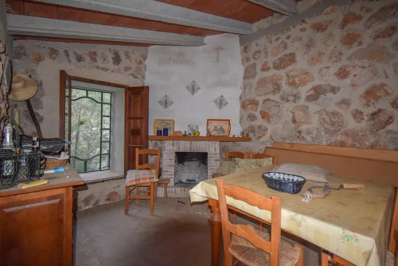 Olive grove with two small houses and car access in Fornalutx — photo 5