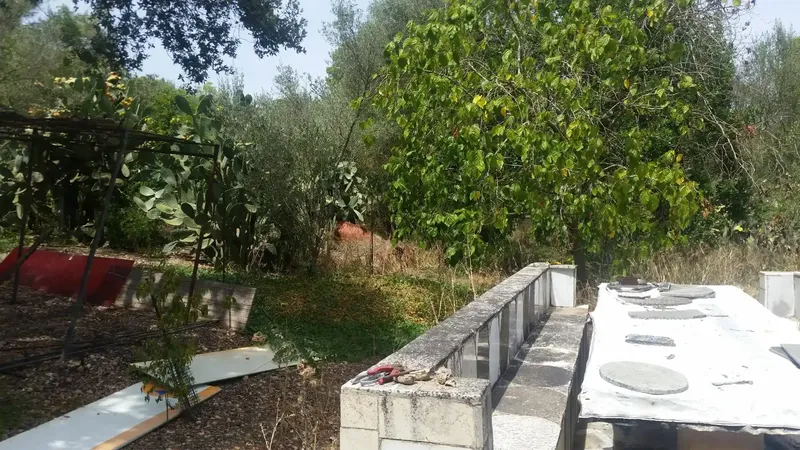 For sale: finca with legalized house, water and electricity — photo 7