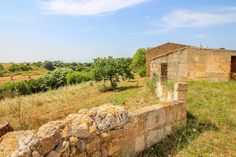 Discreet Listing - Exceptional Ecological Estate near Manacor — photo 3